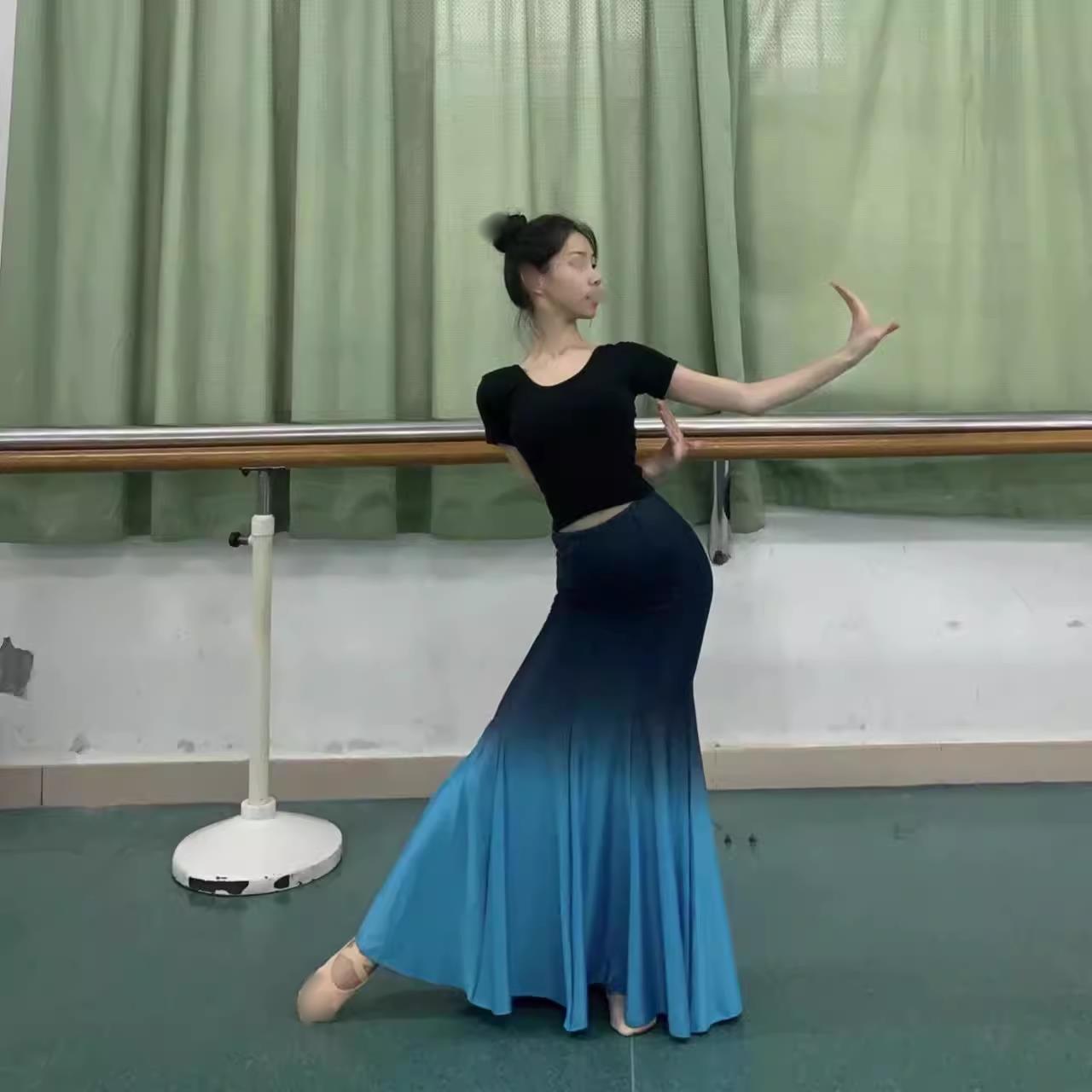 傣族舞蹈演出服黑色渐变长袖短袖练功裙表演服女傣族舞裙艺考服装