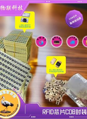 13.56MHZ超nfc芯片授权覆制CUIDUIDUFUIDnatg213 216cob芯片