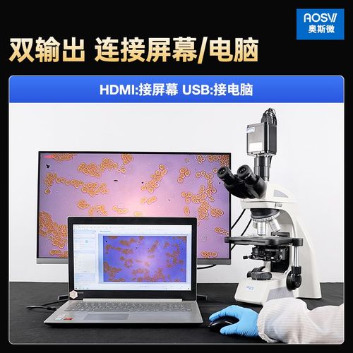 奥斯微研究级生物实验室显微镜超高高倍学校科学纳米级科研光学看