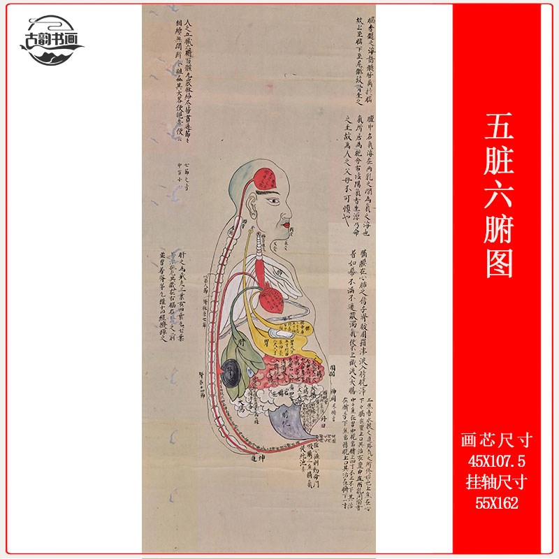 针灸穴位五脏六腑图古代医学经络参考绘画中医养生馆挂画挂轴装裱