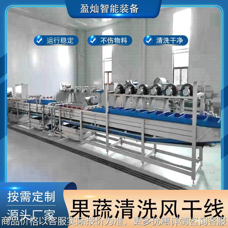 果蔬气泡清洗机 蘑菇金针菇菌类清洗机 萝卜杏子蓝莓地瓜清洗设备