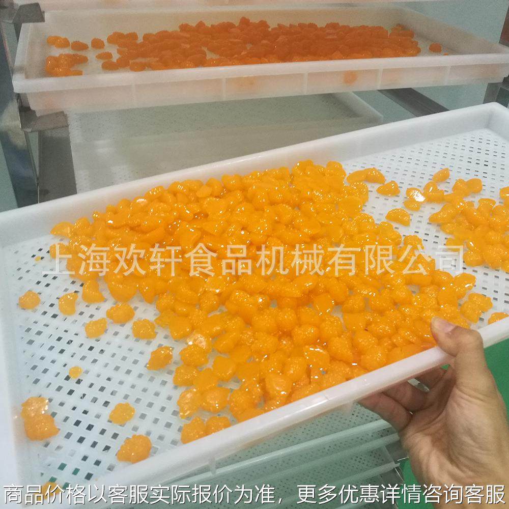 软糖设备优惠 糖果浇注机械 小熊软糖 明胶果胶卡拉胶软糖设备,厨房电器,果糖机,淘宝优惠券,粉丝福利购,淘宝优惠卷