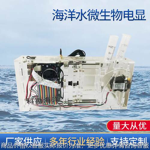 海洋水微生物电显