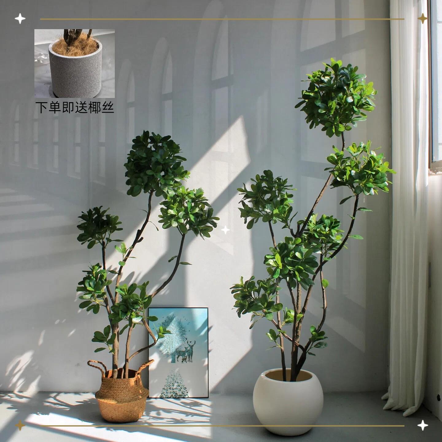 景高端仿真绿植海桐树盆栽室橱005内酒店窗厅装饰假植物盆摆件造