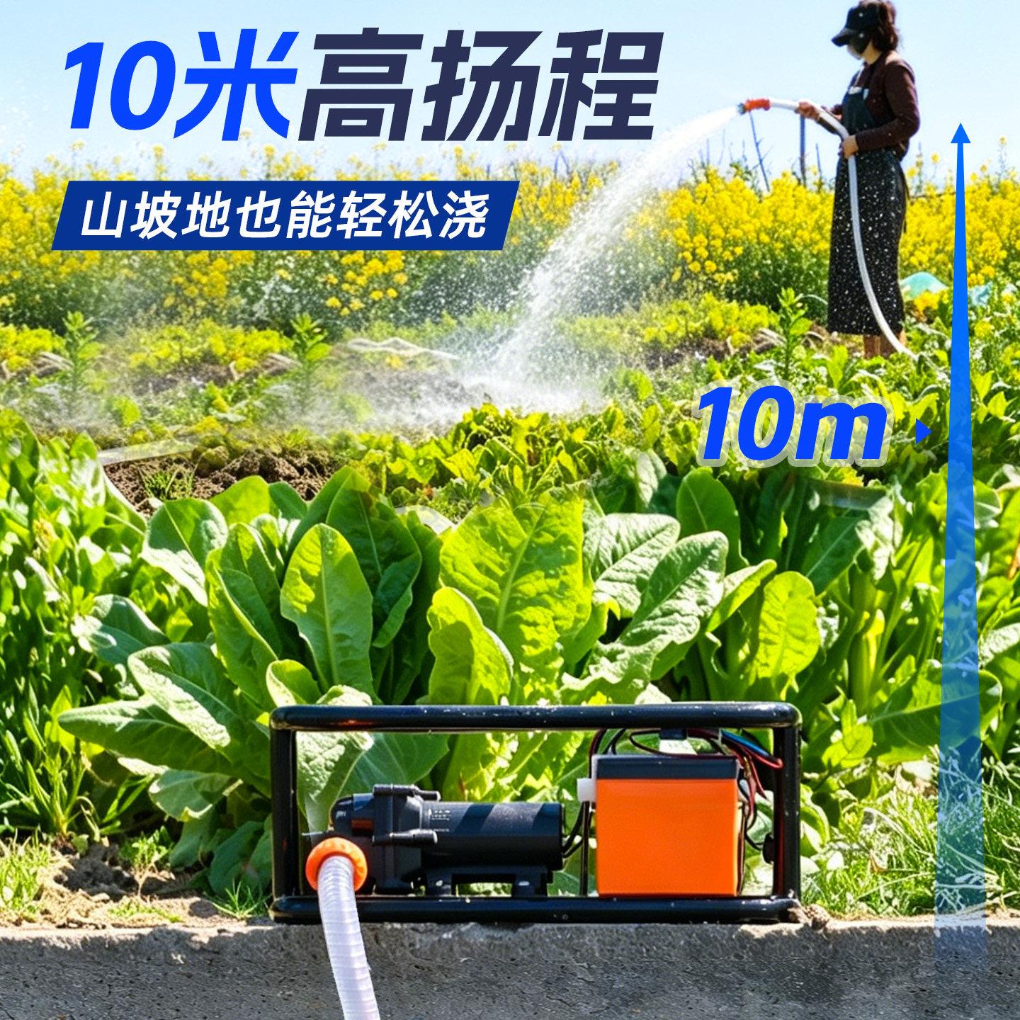 充电式浇菜水泵水21V八缸机大功率农用溉式小型便新携式户外抽水