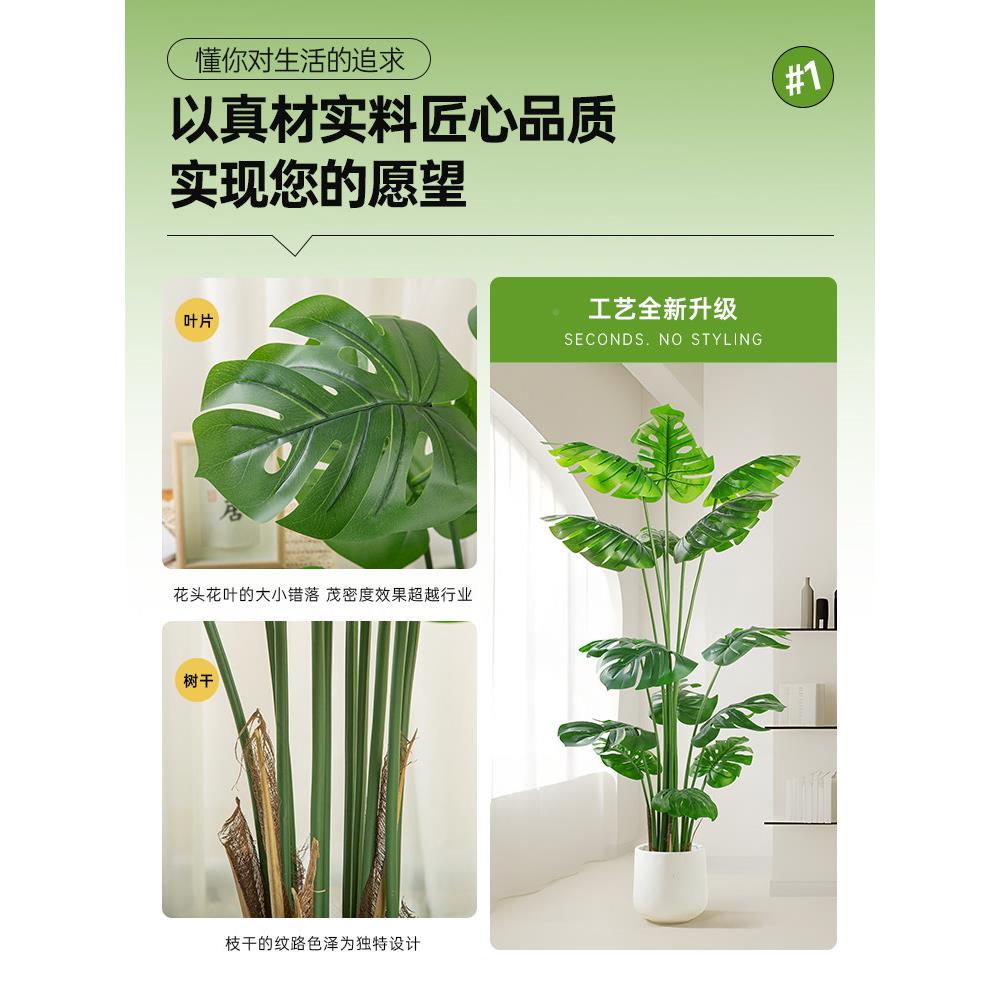 斯的纳WDL亚无障碍豪华模拟叶竹子大型室内客厅地板站立的维家庭