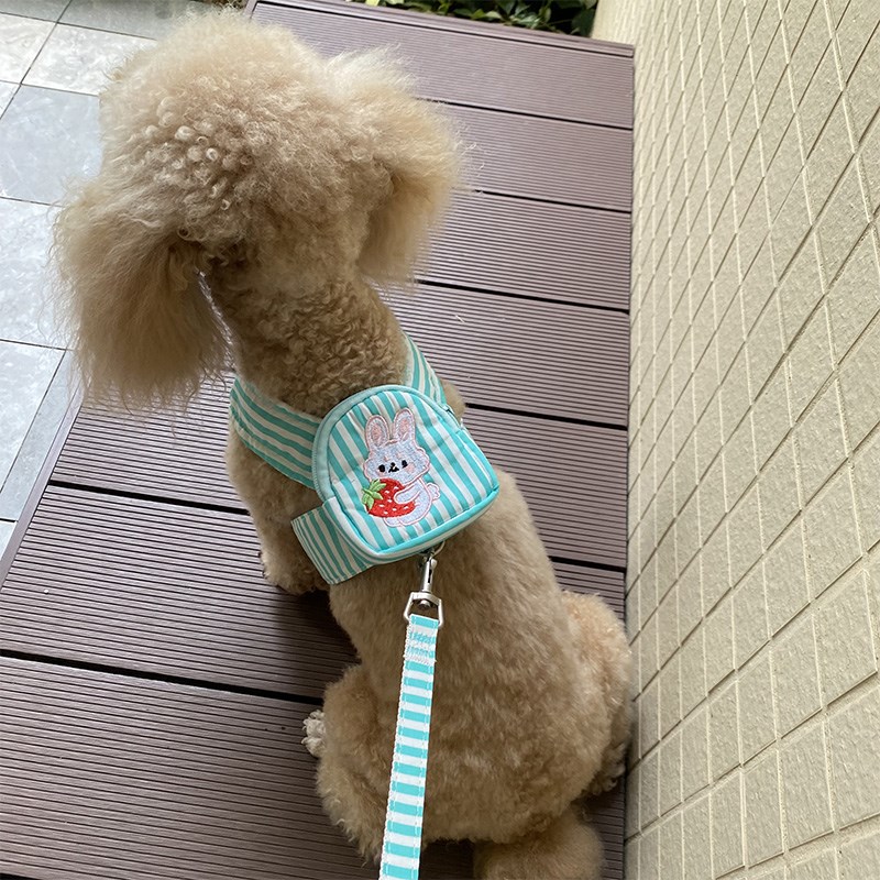 可爱带背包宠物牵引绳小型犬泰迪比熊背心式外出溜狗绳子狗狗链子