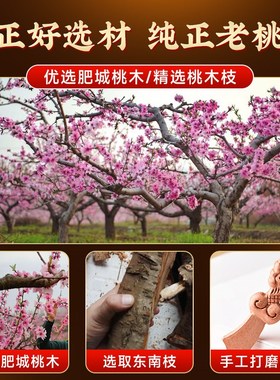 天然桃木剑挂件宝宝婴儿儿童随身挂件东南桃木枝条木雕纯手工挂饰