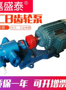 淘货源CB55齿轮泵小型铸铁电动抽油泵微型cb涂料齿轮泵