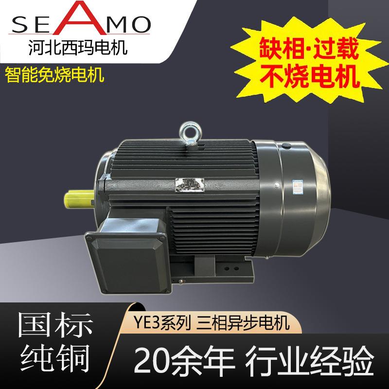 电机定制生产YE3-6极2.2W-315w高效三相异步电动机