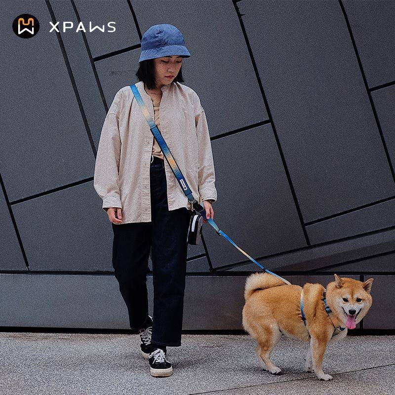 PAWS 狗狗牵引绳解双放绳手柴犬网红跑步遛狗子柯UDF基牵狗绳X抱