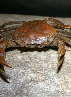 古玩铜器螃蟹茶宠摆件实心茶道茶玩禅意横财将军大发横财装饰摆件