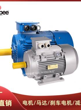 意大利seipee电机马达JM80a 90s 100L 112Ma 132Sa 160Mc 160Lb