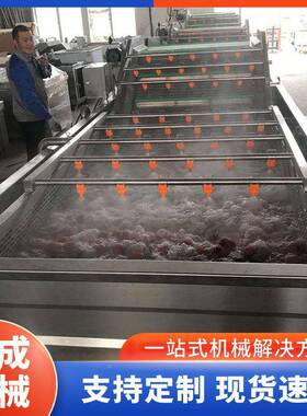 果蔬压喷淋清洗全自动多功恒能OVF机蔬菜水果气高泡清洗设备成机