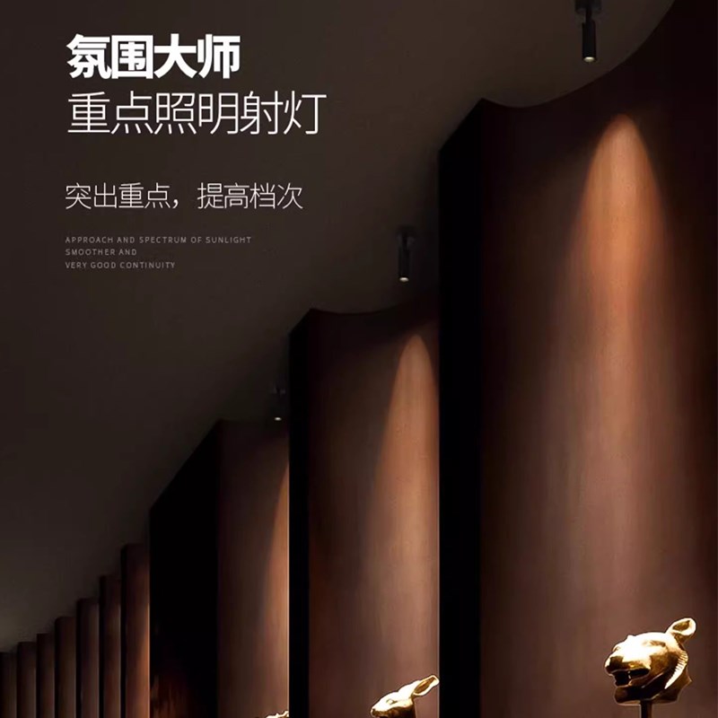 明装聚光射灯客厅餐厅博物馆展柜一束光迷你可调角度3w5w免开孔灯