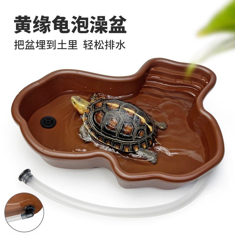 黄缘泡澡盆塑料龟缸造景摆件陆龟半水龟爬虫宠物饲养超大水盆喝水,宠物/宠物食品及用品,喂食器,淘宝优惠券,粉丝福利购,淘宝优惠卷