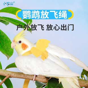 玄凤虎皮鹦鹉放飞绳背带背心款芦丁鸡外出绳子牵引绳遛鸟绳飞行绳