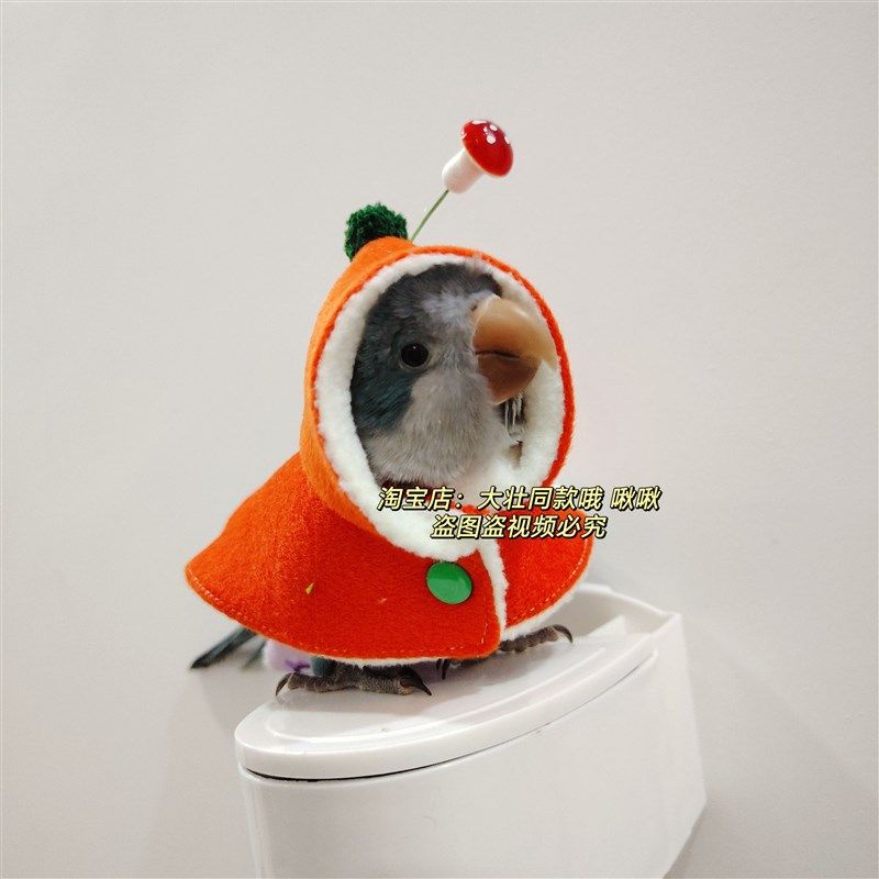 橘色小蘑菇款鹦鹉披风斗篷鸟衣服鹦鹉披风玄凤加厚保暖外出服鹦鹉,宠物/宠物食品及用品,鸟禽服饰,淘宝优惠券,粉丝福利购,淘宝优惠卷