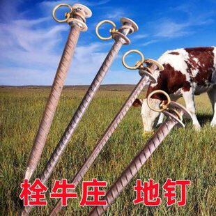 地桩钉拴牛羊马大型犬橛子大棚钉户外钉实心加长沙滩钉子车位地钉