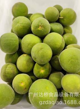 DQ桥工业ZLF化柚高速达切片机商用型化橘红自动化切州块机