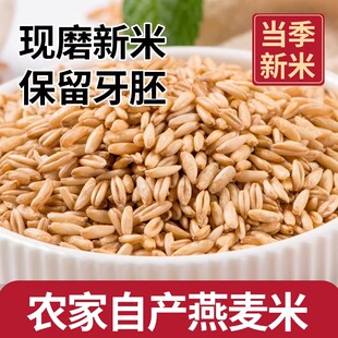 【燕麦米】新鲜当季颗粒饱满燕麦米煮粥早餐粥燕麦米杂粮新鲜麦香