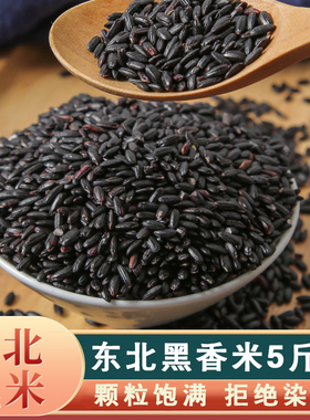 东北黑米当季新鲜黑米农家自产优质香糯黑米黑米五谷杂粮煮粥