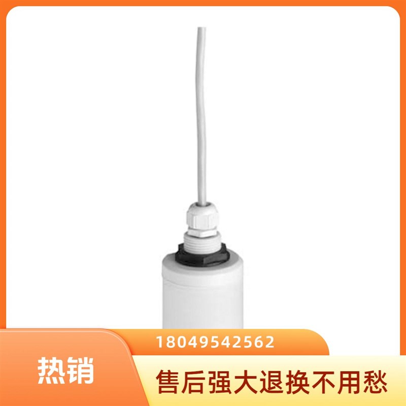 E+H 超声波物位计探头 FDU91RG1AA 现货 FNDU91RG2AA 探头