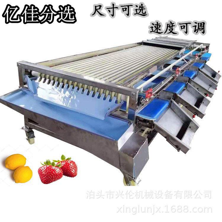 小土豆分选机山楂选果机苹果梨分拣机皮带式李子分级机