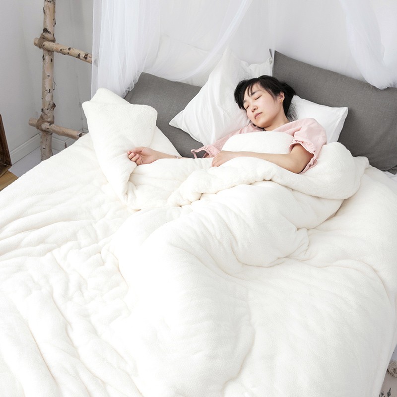 金色胡杨新疆棉被芯长绒棉花被春秋被冬款棉絮棉胎垫被褥子有网被