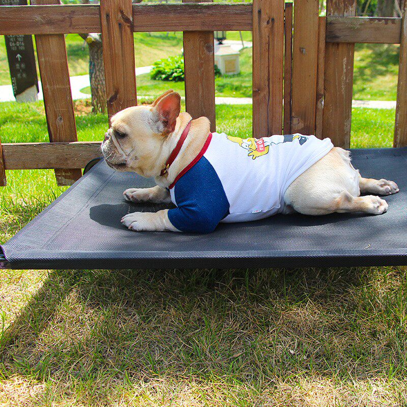 中小型犬宠物狗狗法斗巴哥英牛恶霸行军床四季夏天防潮透气凉狗窝