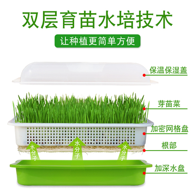 豆芽菜育苗盆豆苗种植盘芽苗菜架子纸上种菜托盘多层育苗架不锈钢