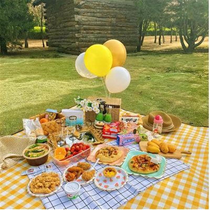 户外野餐垫防潮垫露营垫子防水加厚网红ins风春游便携式折叠地垫