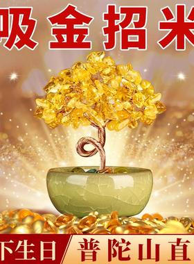 普陀山天然黄水晶发财树办公室聚宝盆招财聚财水晶玄学旺宅小摆件