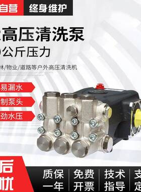 GATLING250公斤高压柱塞泵高压清洗机用设备清洁泵工业级耐用