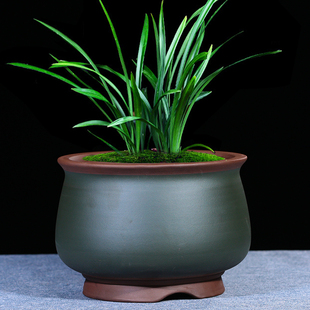 绿色紫砂花盆 精品紫砂花盆绿萝 紫砂花盆 君子兰专用兰花盆