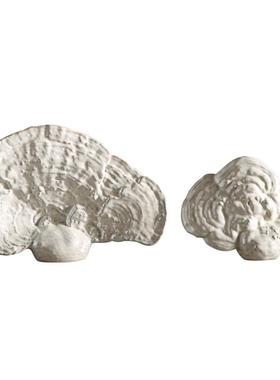 新中式陶瓷灵客摆M220-M22件样板间厅书房书柜电视柜酒装柜饰品小