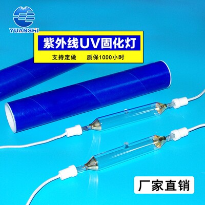 进口IV灯固化灯1-3KW大功率紫外线UV无影胶固化灯管3KW高压汞灯