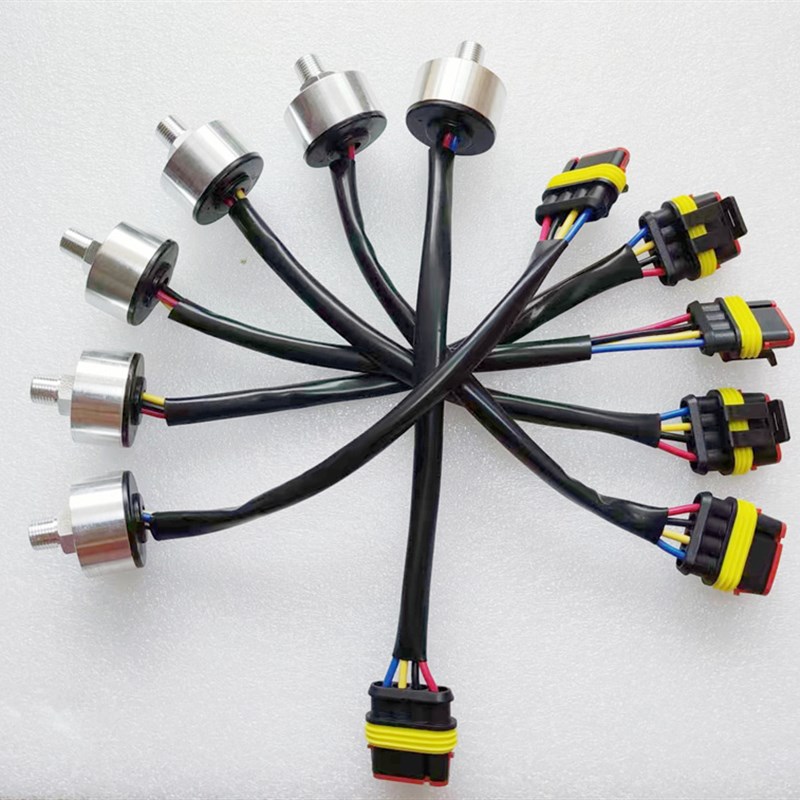 适用于成功EV1EV2泓源派派刹车助力真空泵传感器 压力开关 控制器