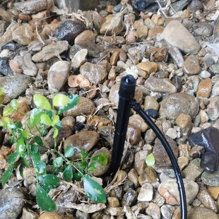 可调节微喷菜地花园浇花水管 家用园艺自动浇水花盆地插杆喷头套装