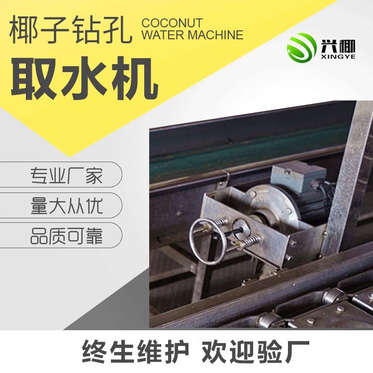 厂家供应椰子钻孔取水设备全自动椰水机椰子钻孔漏水设备