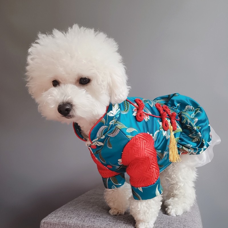 宠物狗唐装礼裙子纸样新年装连衣裙图纸雪纳瑞比熊喜庆汉服模版
