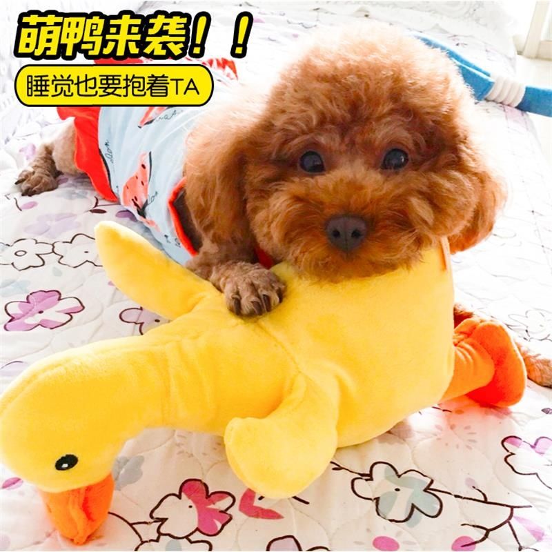 狗狗玩具解闷神器耐咬宠物毛绒陪睡自嗨消耗体力磨牙幼犬泰迪金毛