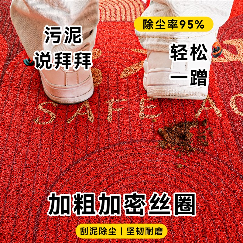 入户门地垫门口脚垫子2024新款龙年玄关门垫耐脏加厚丝圈进门地毯
