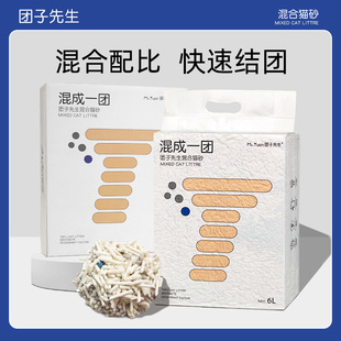 猫咪用品大全套猫咪幼猫专用猫砂猫砂盆猫碗猫窝罐头新手养猫套装