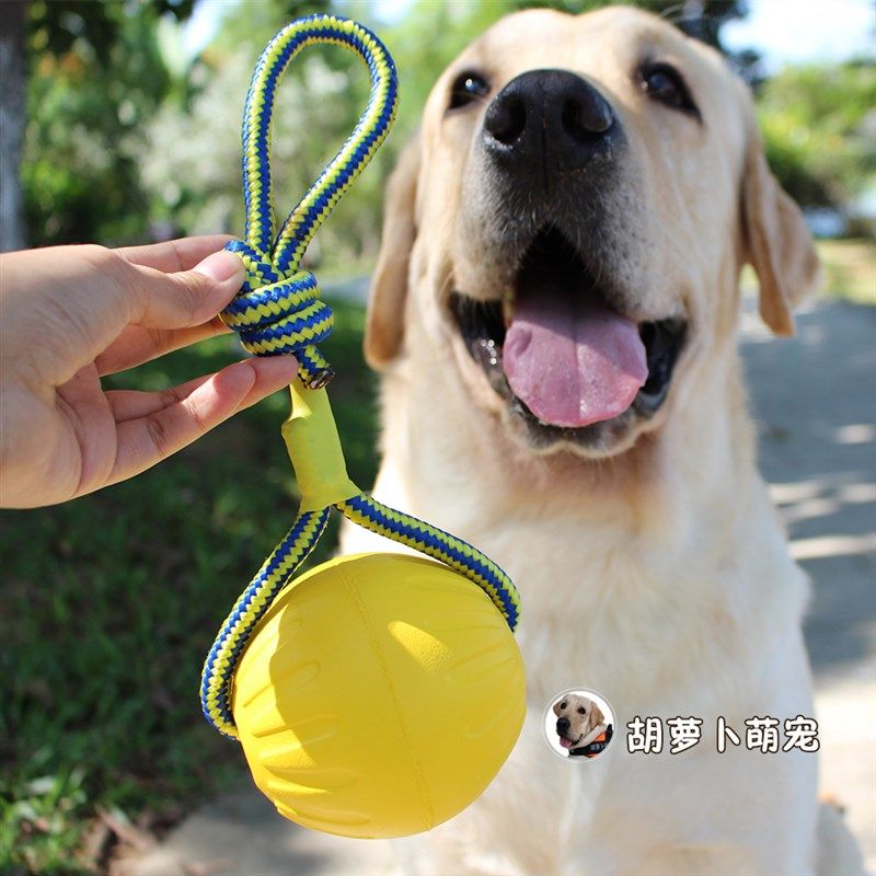 不伤牙齿 幼犬磨牙换牙期狗玩具EVA橡胶耐咬金毛拉布拉多洁齿玩具