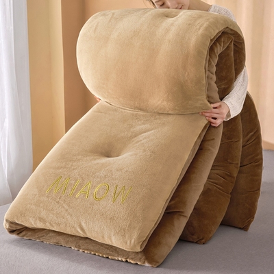 牛奶绒刺绣冬被加厚保暖