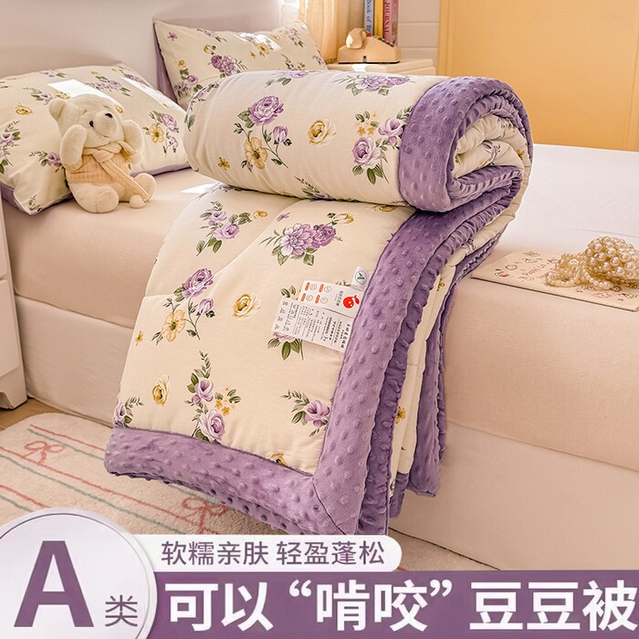 寒念A类全棉豆豆绒春秋冬被单双人被子被芯柔软豆豆被宝宝绒加厚