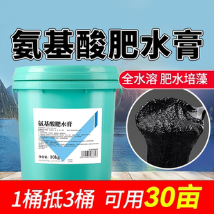肥水膏水产养殖专用低温肥水王培藻小龙虾蟹鱼塘氨基酸料旺宝