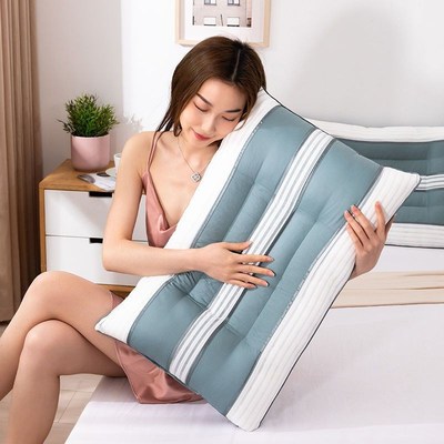 决明子枕头枕芯一对单人家用磁石枕头芯护颈椎T助睡眠一只联严