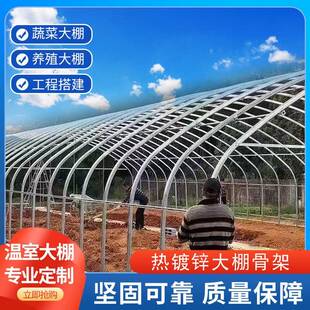 大棚猪钢管架温室蔬镀菜种骨植组装养殖大棚全套锌椭圆管牛羊GAG